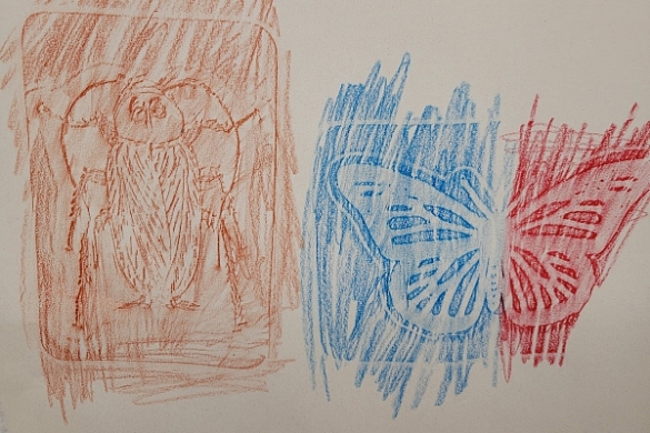 Bild eines abgepausten Schmetterlings