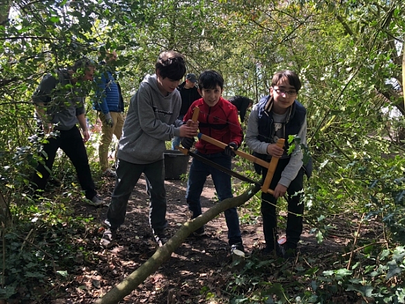 Bild von Kindern, die einen Ast zers&auml;gen